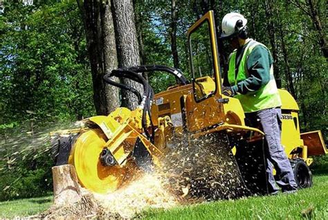 stump grinding shadwell  Insects are resourceful and it will not take them to long to make their way into healthy trees and your home